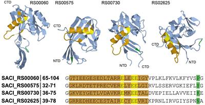 Transcriptome profiling of Nudix hydrolase gene deletions in the thermoacidophilic archaeon Sulfolobus acidocaldarius